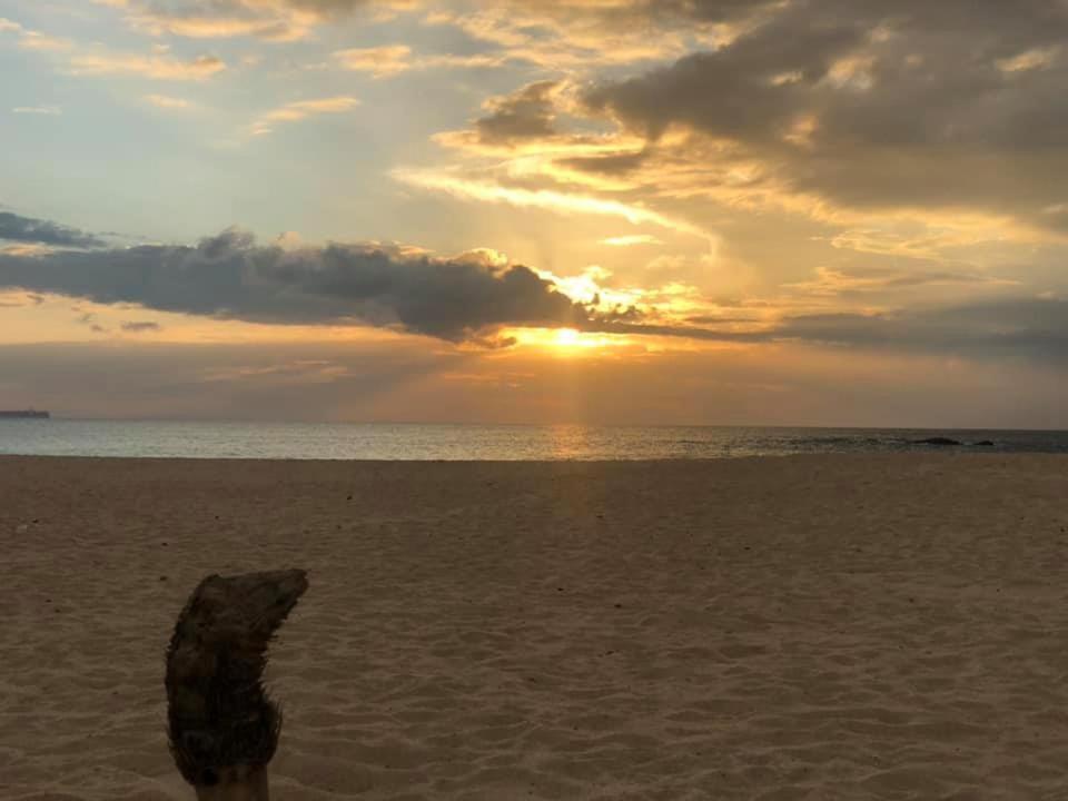 Sea Crest Beach Villa 앰발랑고다 외부 사진