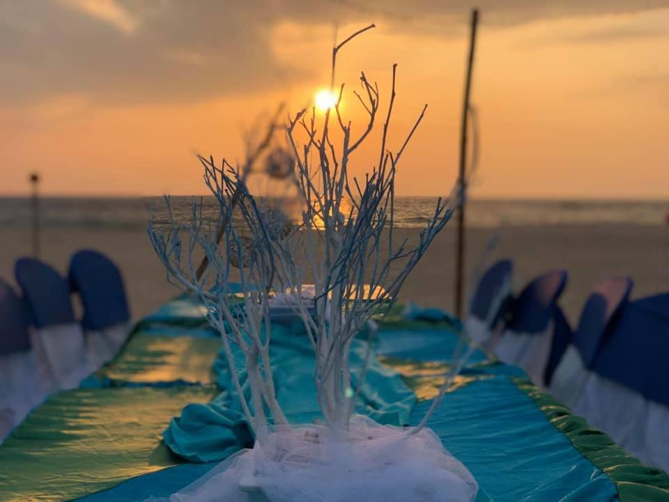 Sea Crest Beach Villa 앰발랑고다 외부 사진